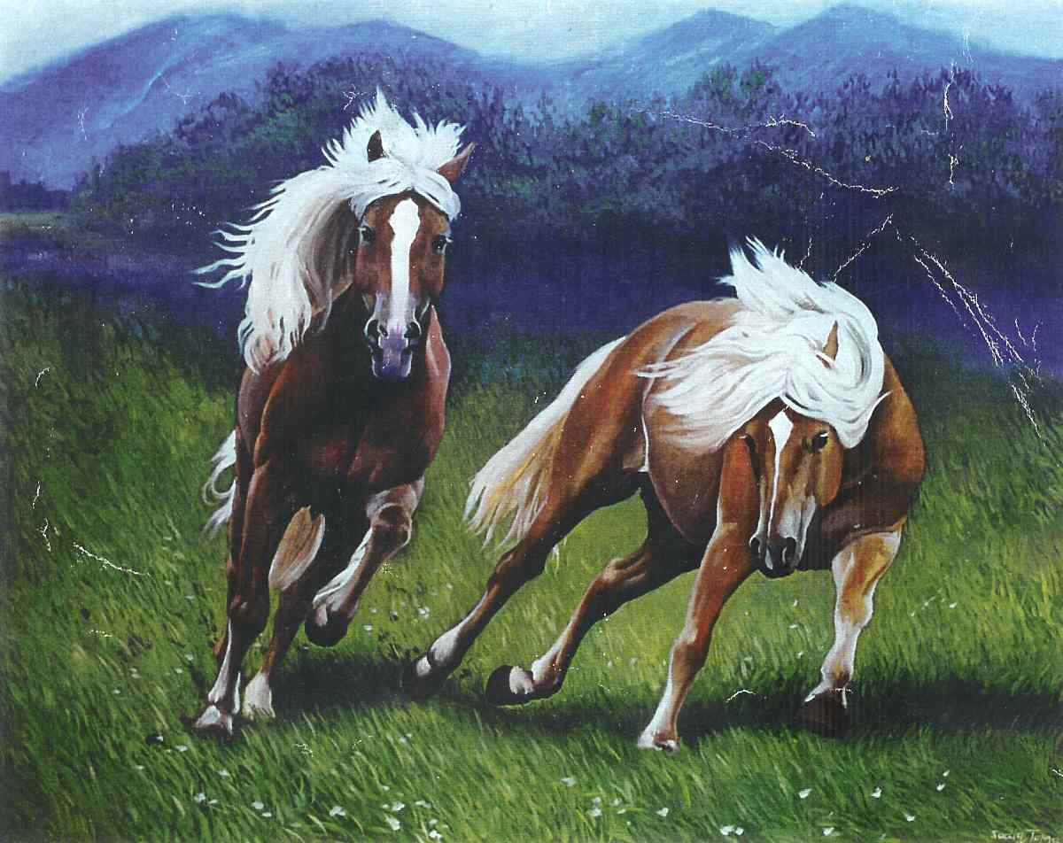 Austrian20Horses