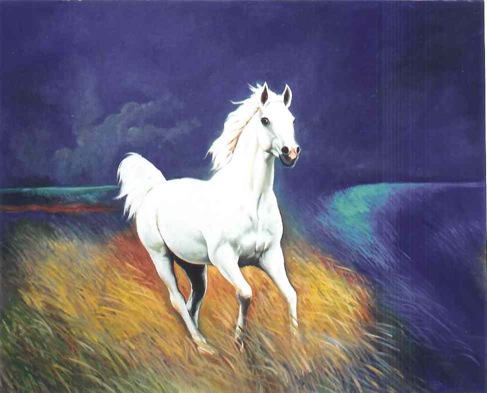 White%20Arab%20Horse.jpg