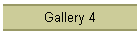 Gallery 4